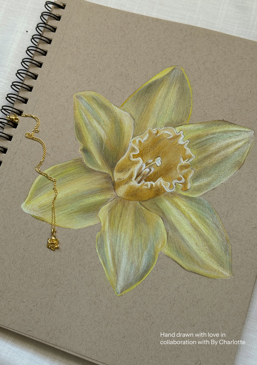 Daffodil - March Birthflower