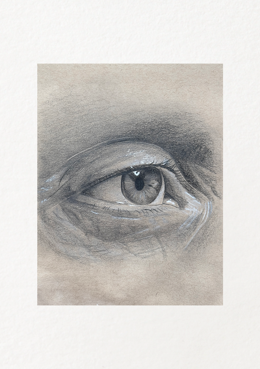 Eye Study
