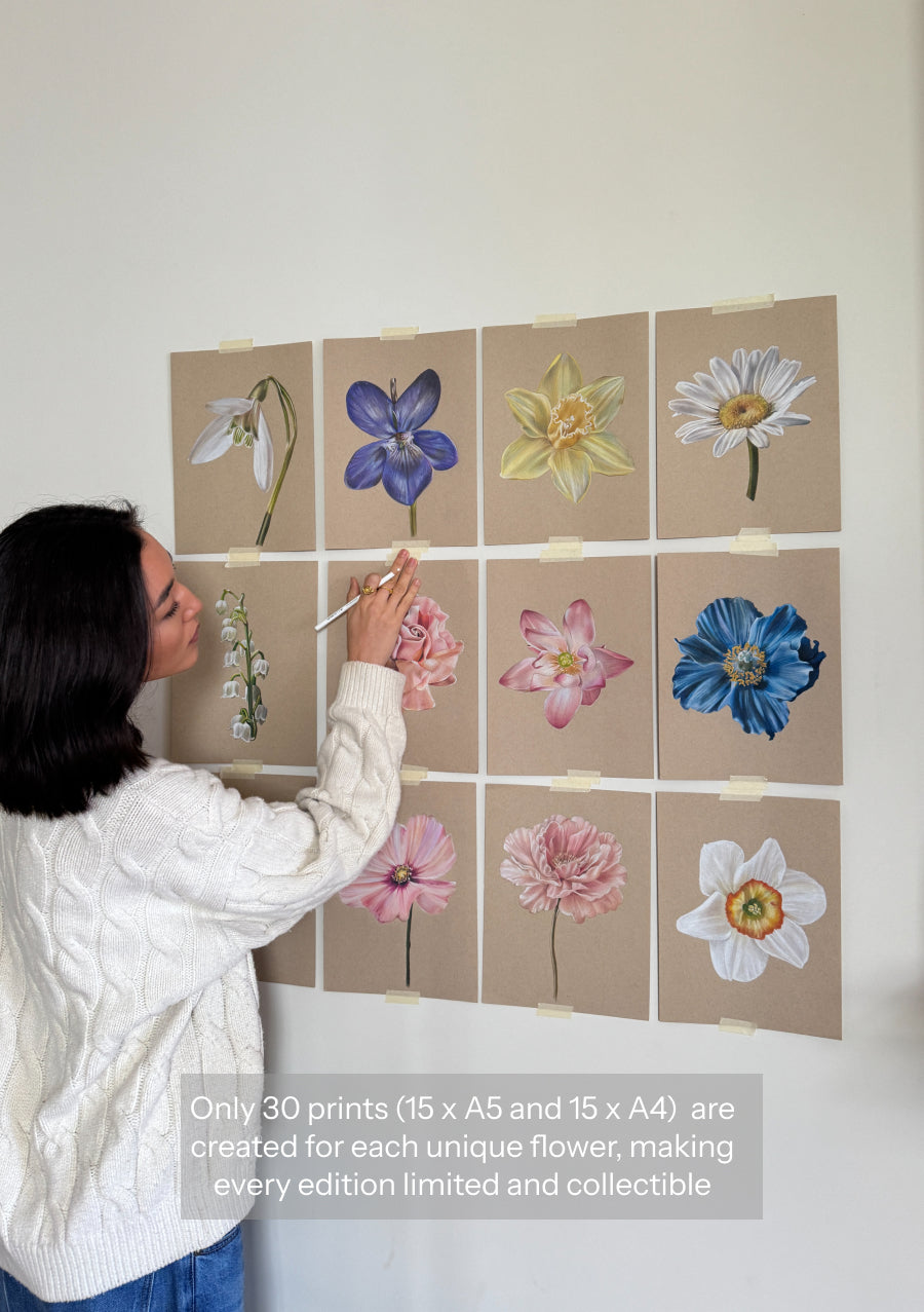 Daffodil - March Birthflower