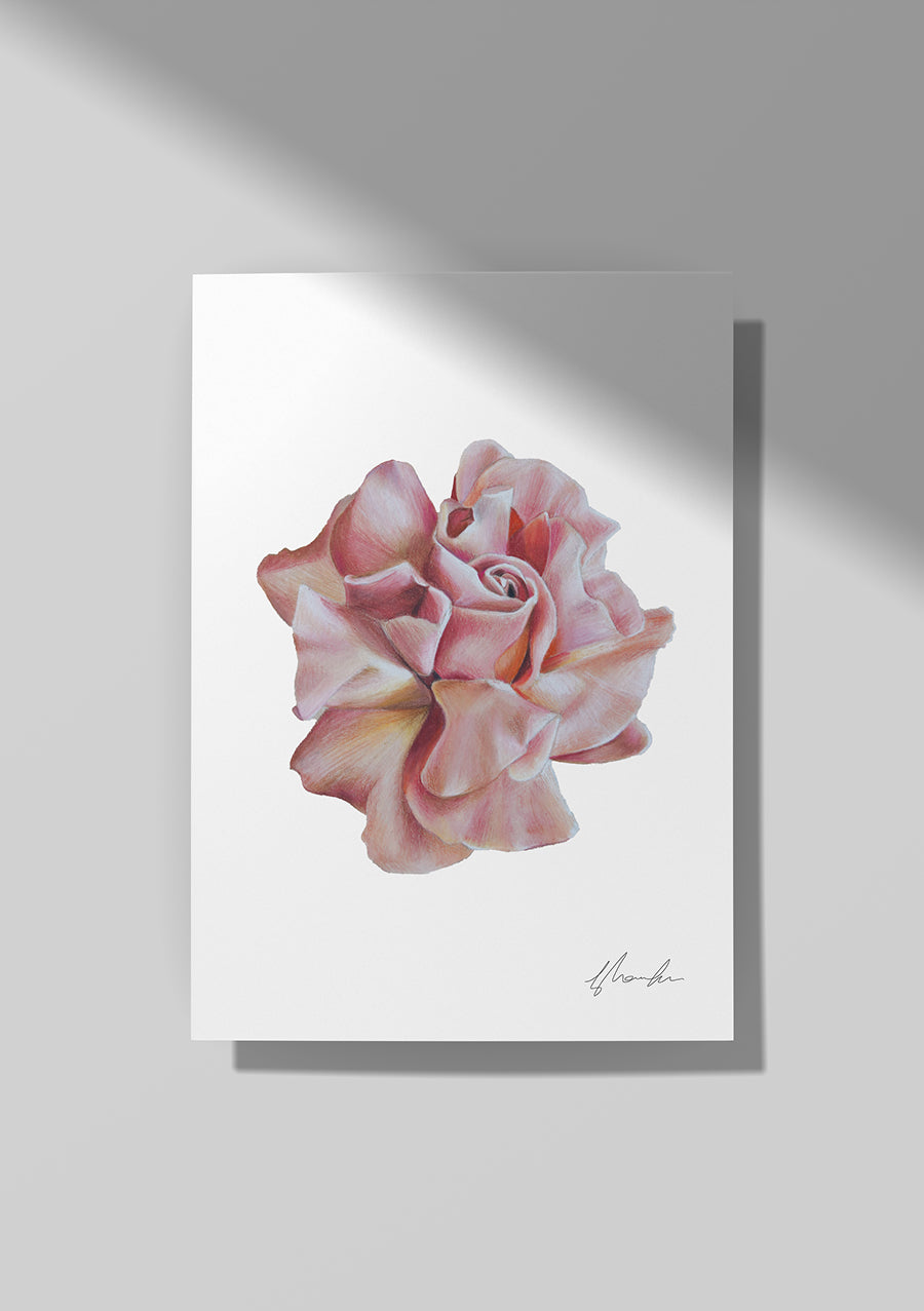 Rose - June Birthflower