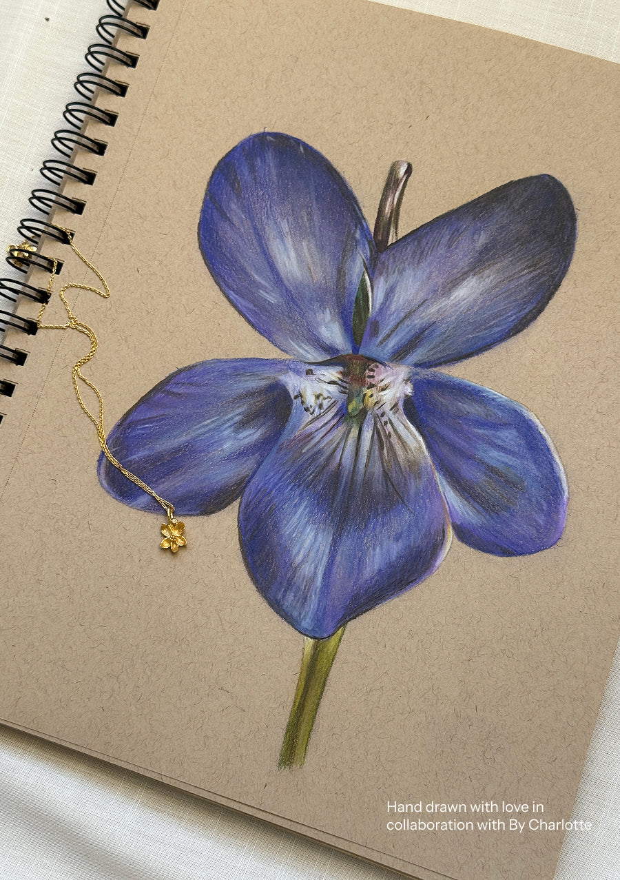 Violet - February Birthflower