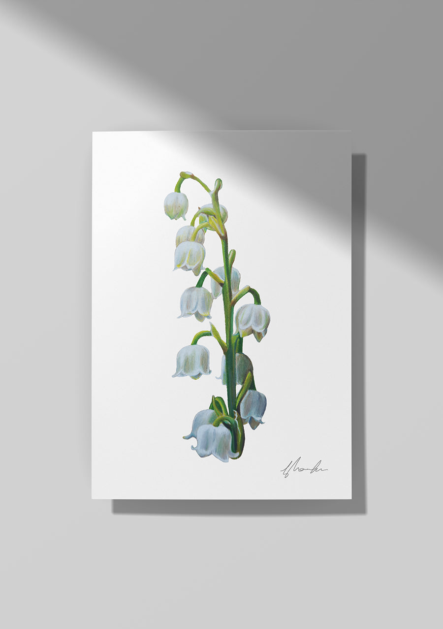 Lily of the Valley - May Birthflower