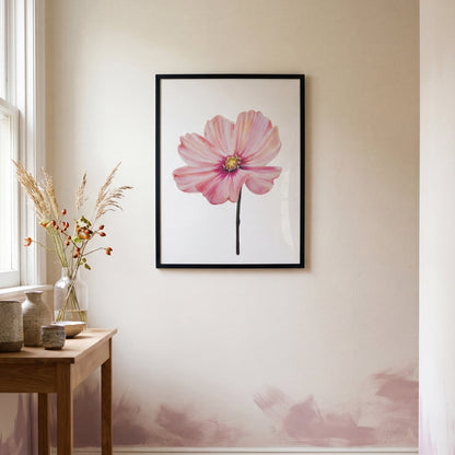 Cosmos - October Birthflower