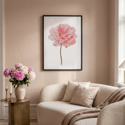 Peony - November Birthflower