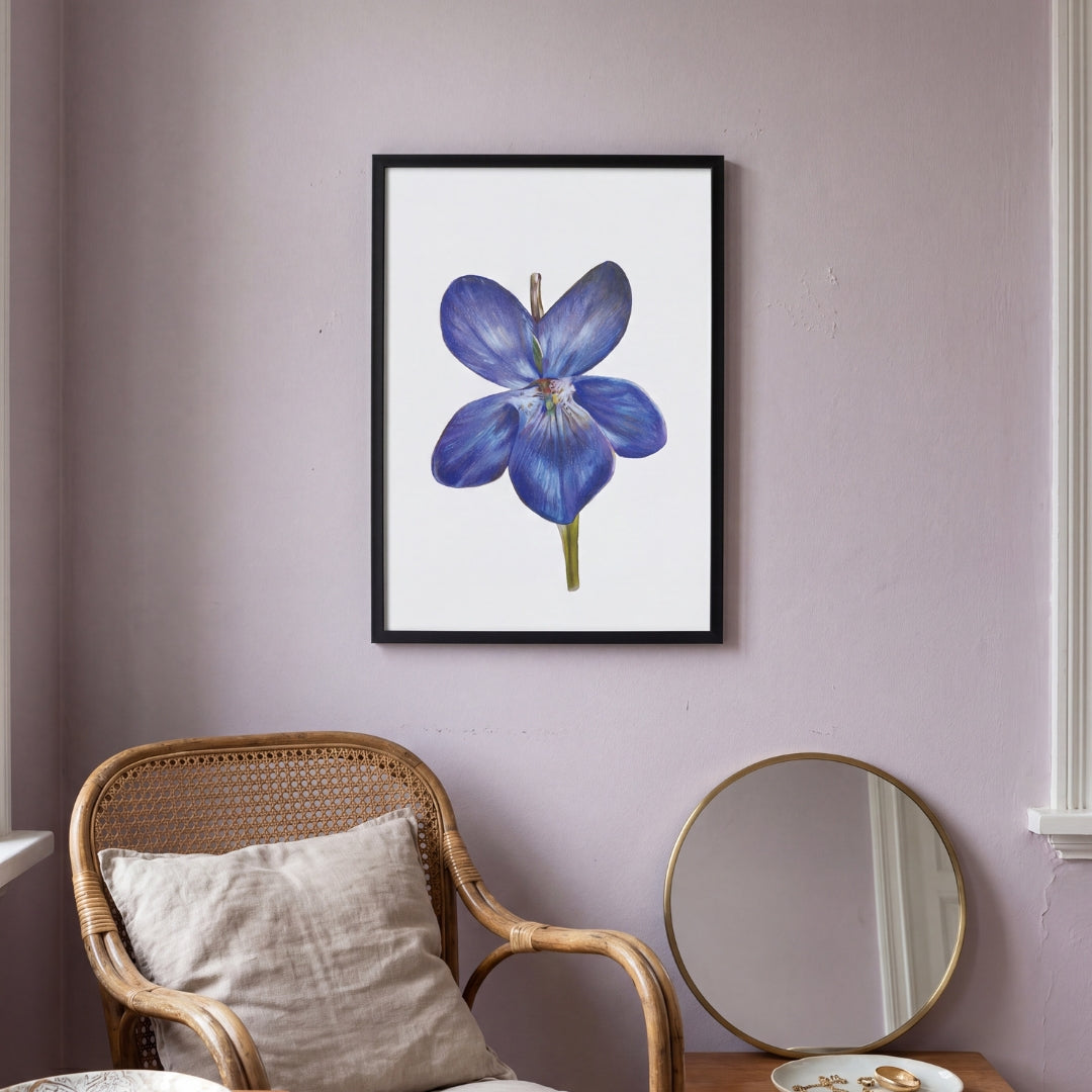 Violet - February Birthflower