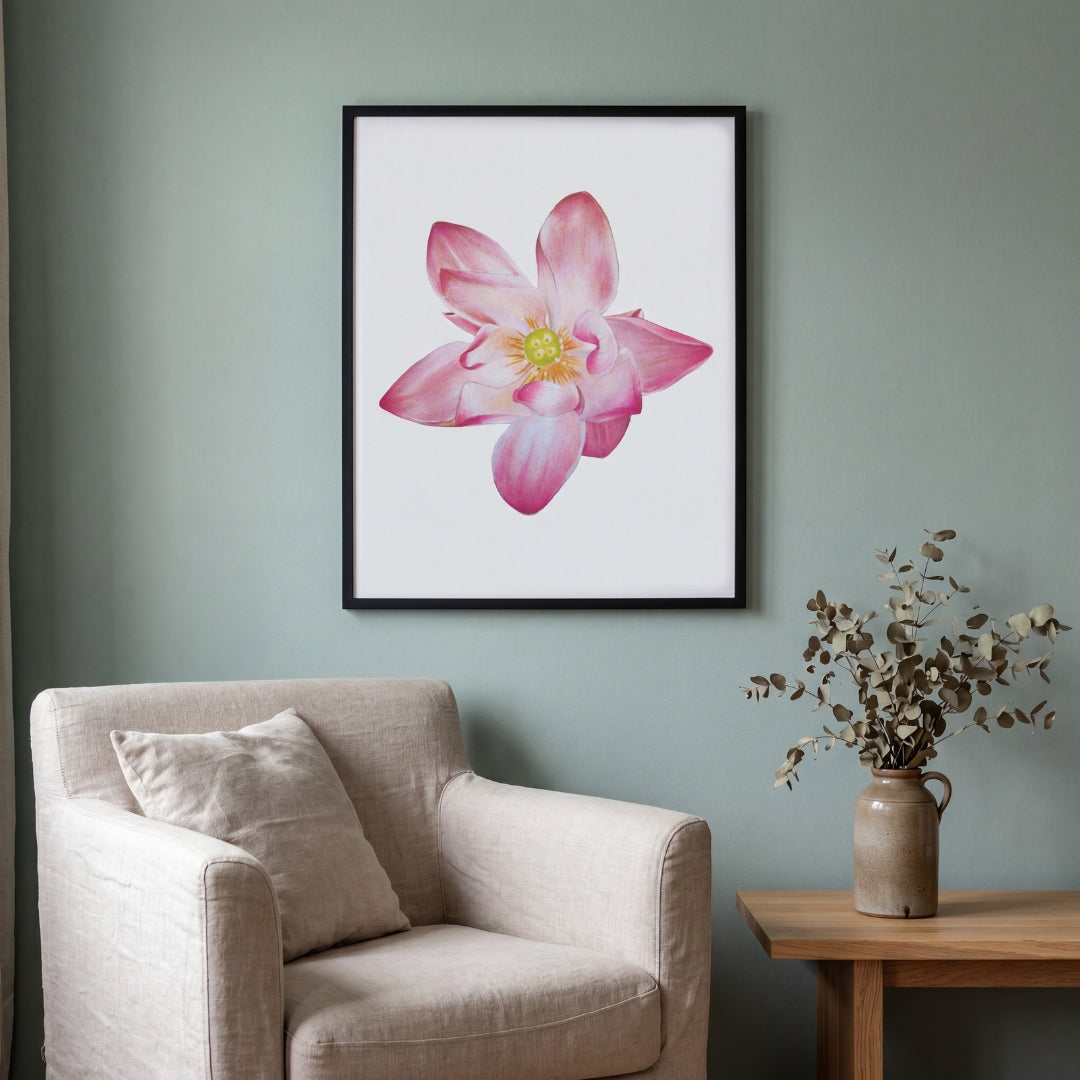 Water Lily - July Birthflower