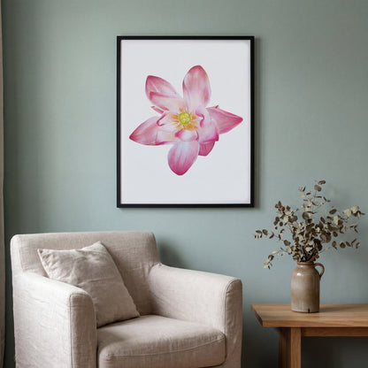 Water Lily - July Birthflower