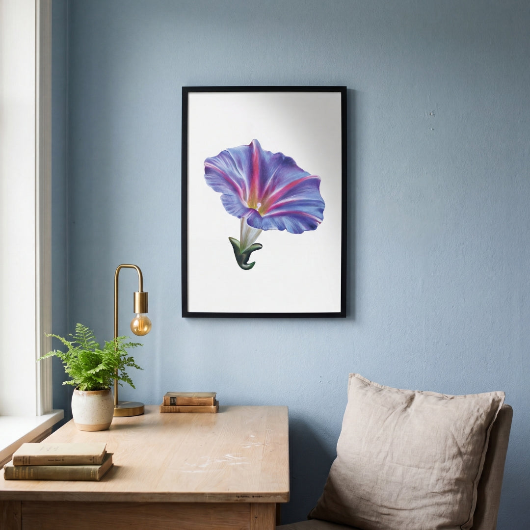 Morning Glory - September Birthflower