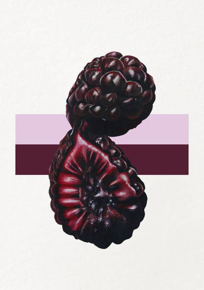Boysenberry