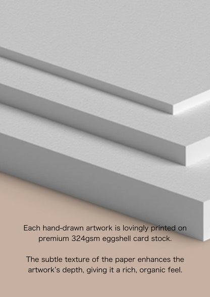 Cosmos - October Birthflower