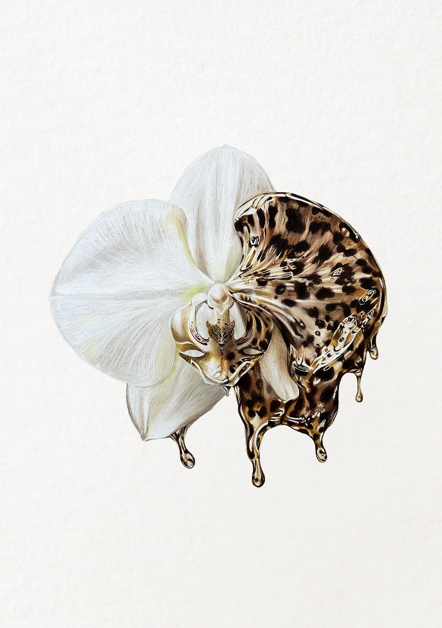 Wild Orchid