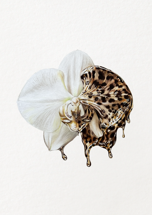 Wild Orchid