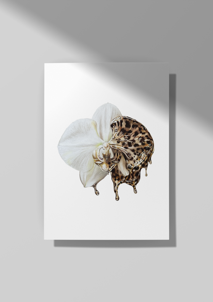 Wild Orchid