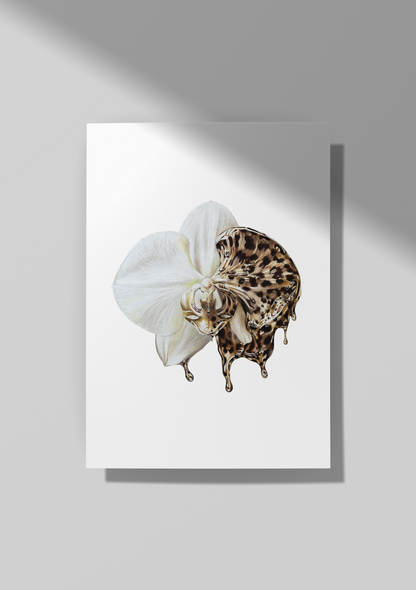 Wild Orchid