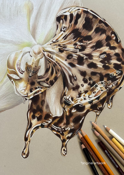 Wild Orchid