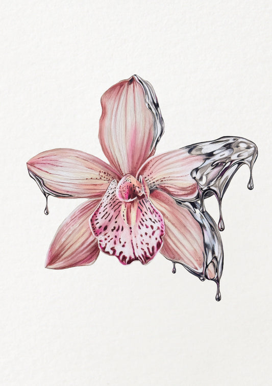 Chrome Orchid (Pink)