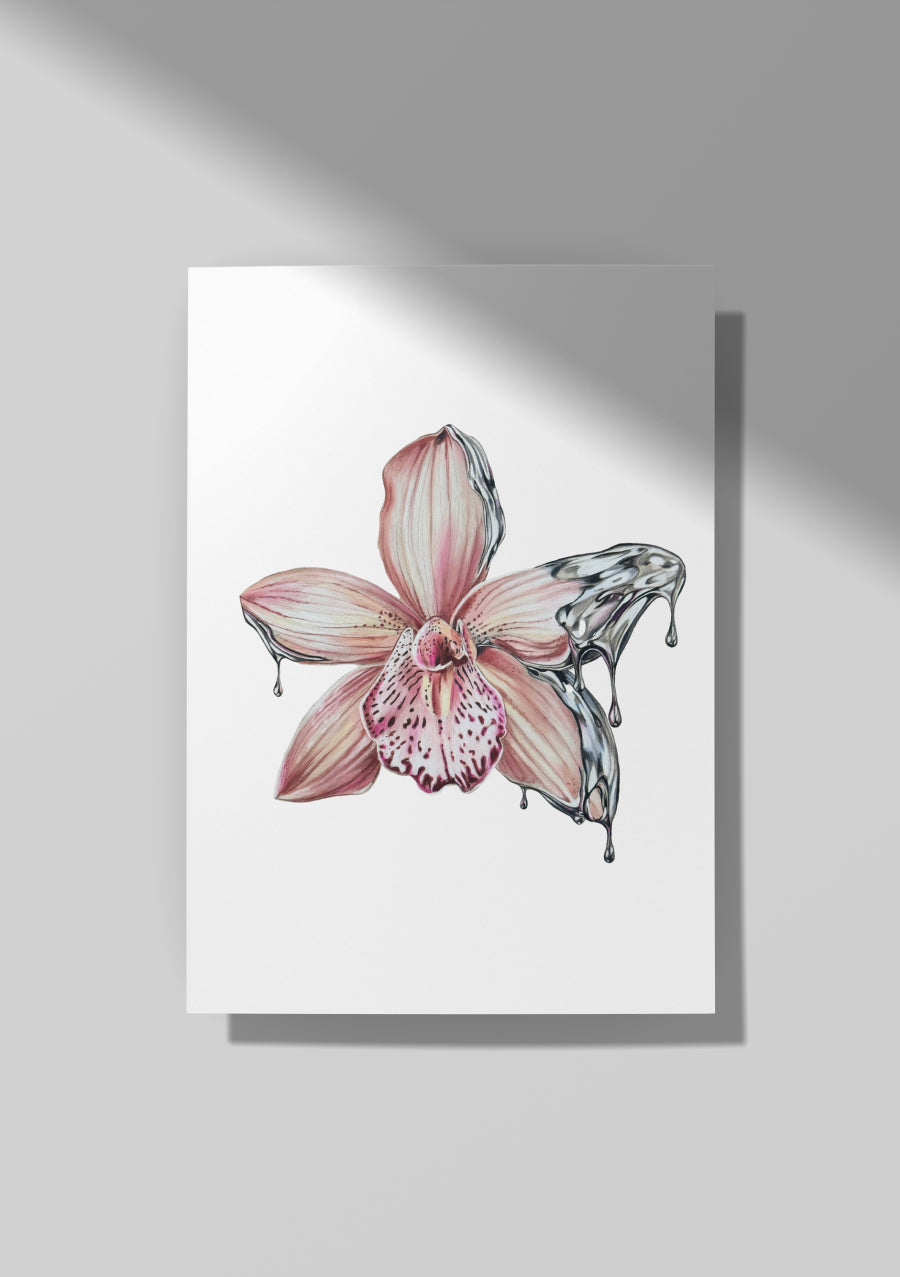 Chrome Orchid (Pink)