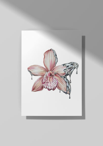 Chrome Orchid (Pink)