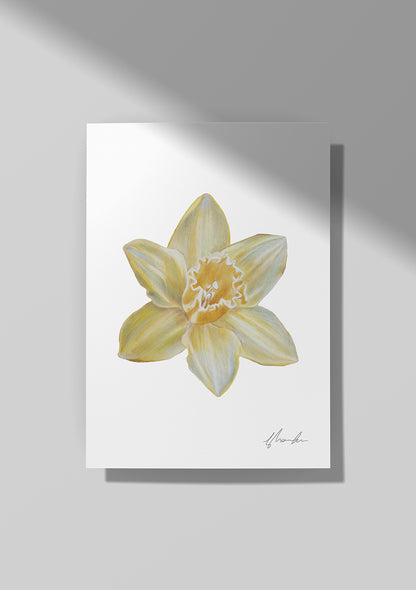 Daffodil - March Birthflower