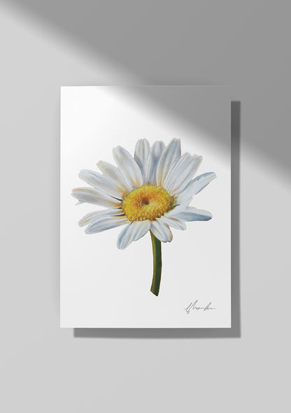 Daisy - April Birthflower