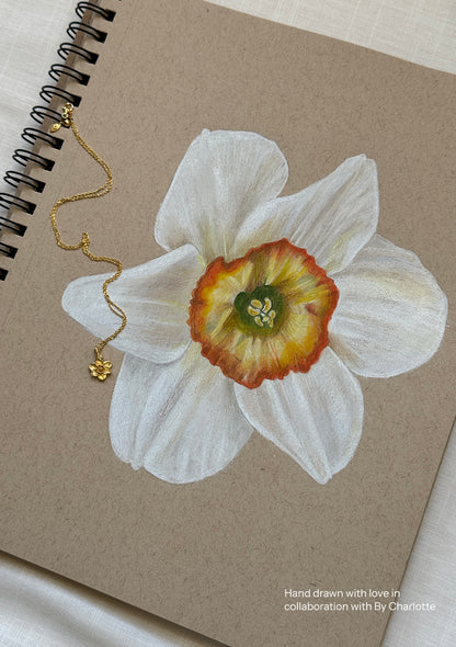 Narcissus - December Birthflower