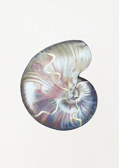 Pearlescent Shell