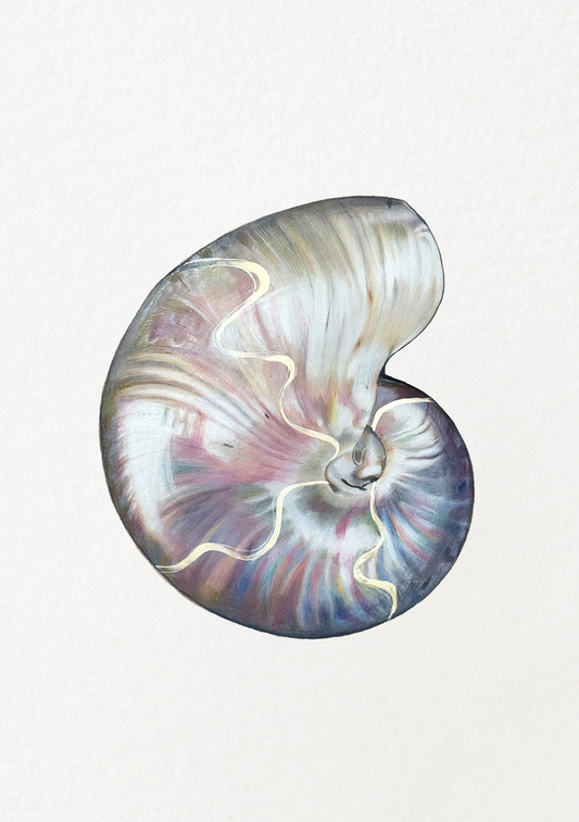 Pearlescent Shell