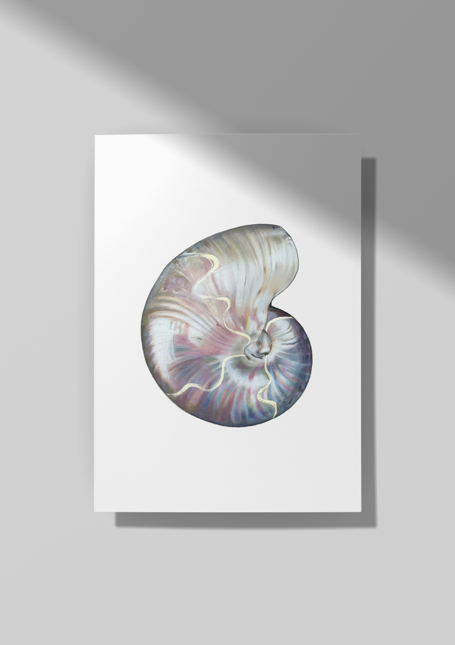 Pearlescent Shell