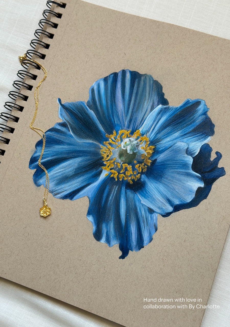 Poppy - August Birthflower