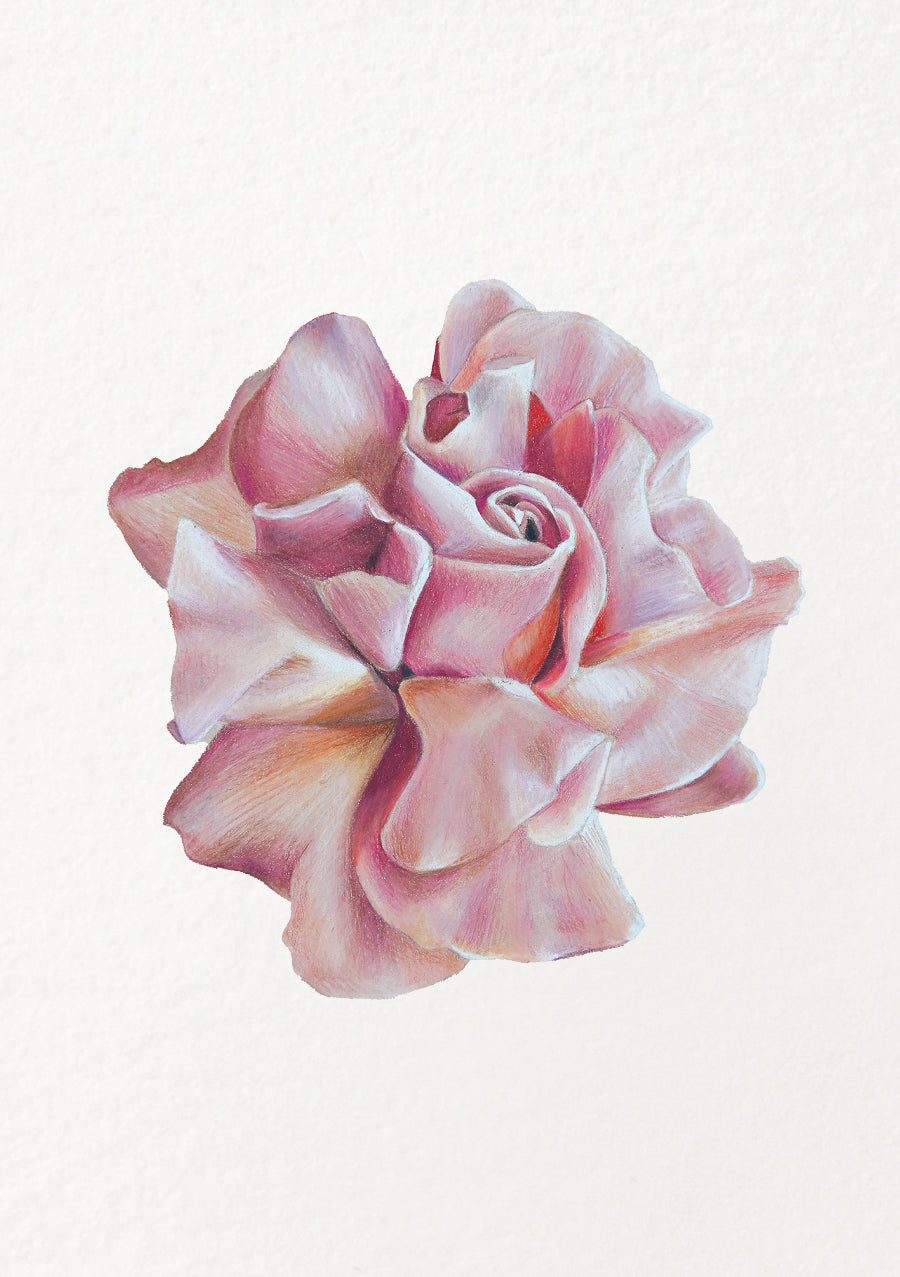 Rose - June Birthflower