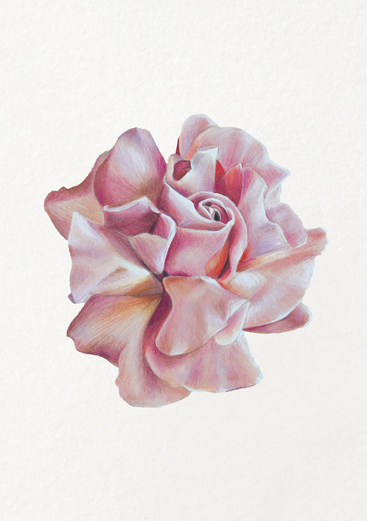 Rose - June Birthflower