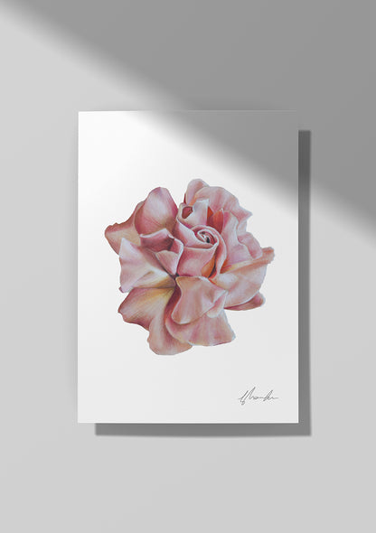 Rose - June Birthflower