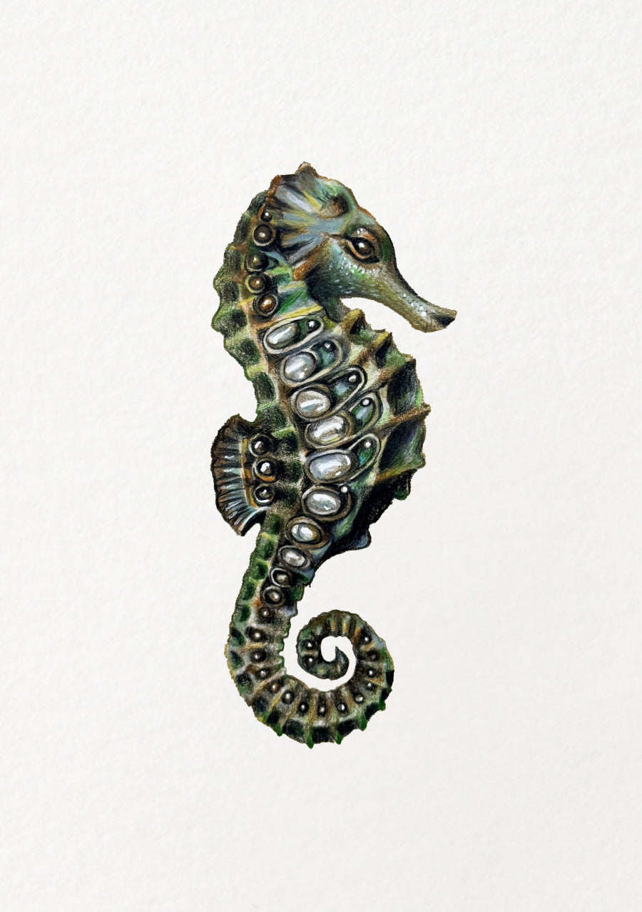Bejewelled Seahorse