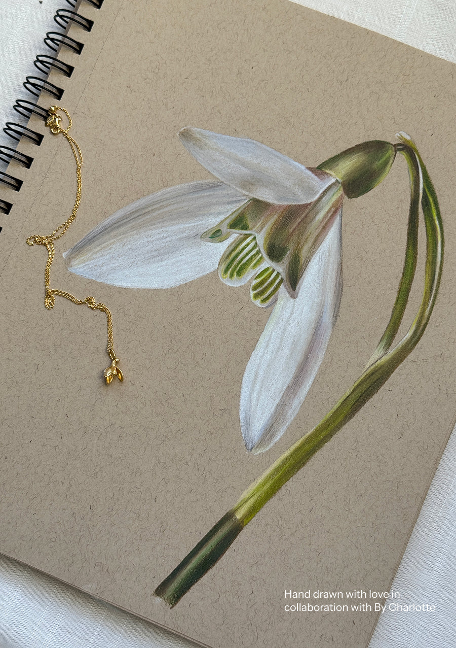 Snowdrop - January Birthflower