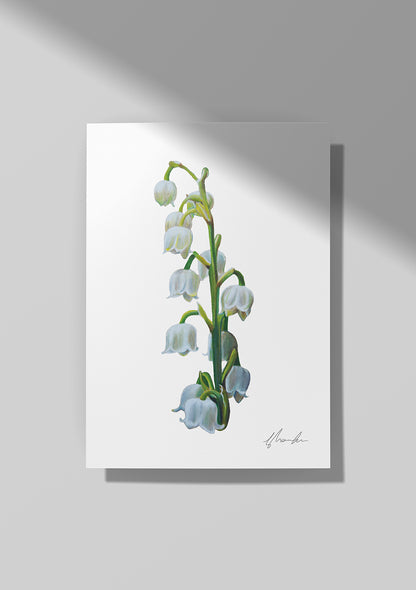 Lily of the Valley - May Birthflower