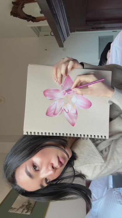 Water Lily - July Birthflower