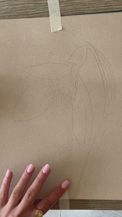 Snowdrop - January Birthflower