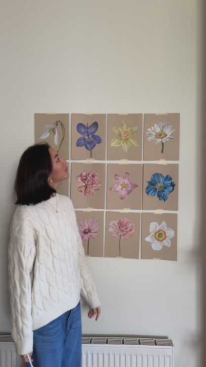 Daffodil - March Birthflower