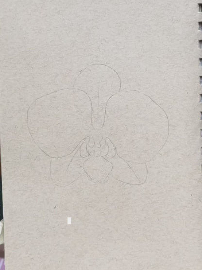 White Orchid