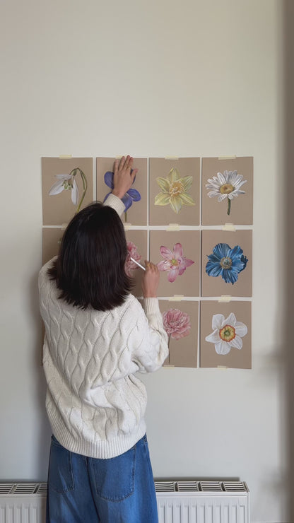 Narcissus - December Birthflower